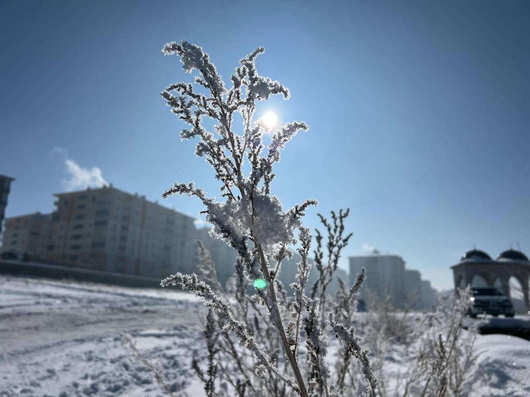 Burası Sibirya değil Erzurum! Eksi 25’i gördü, şadırvanlar buzdan şelaleye döndü 4